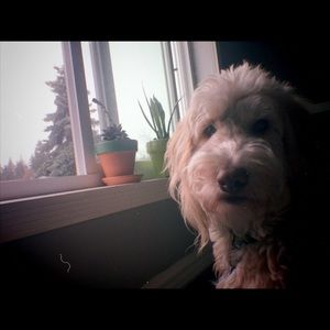 Meet your Posher, Amrynn